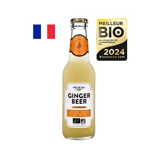 GINBEE - Ginger beer - 20 cl (12) (FRA)