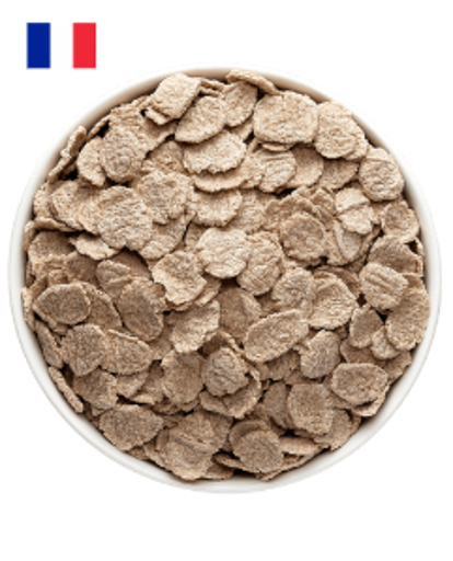 FLSA5 - Flakes de sarrasin - 4kg (FRA)