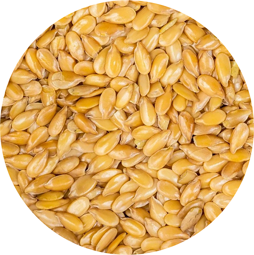LINJ25F - Graine de lin jaune/doré - 25 kg (FRA)