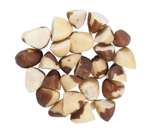 NOIAMMO5 - Noix du Brésil / Amazonie moitié - 5kg (Bolivie) 12673