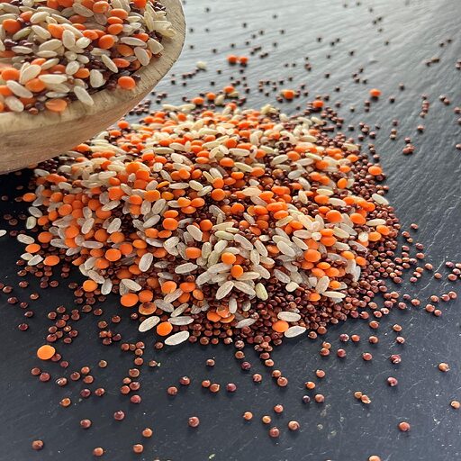 TRIOGOU - Trio gourmand riz, lentille quinoa bio 5kg